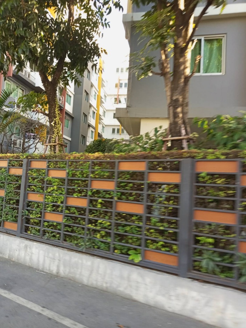 Condo for rent : My Condo Sukhumvit 52