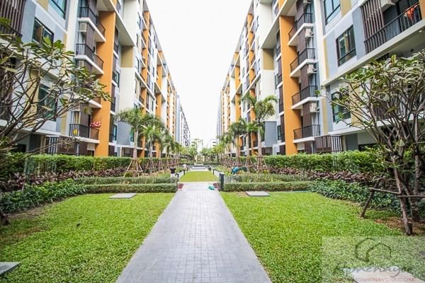 I CONDO Sukhumvit 105 (ไอ คอนโด สุขุมวิท 105)