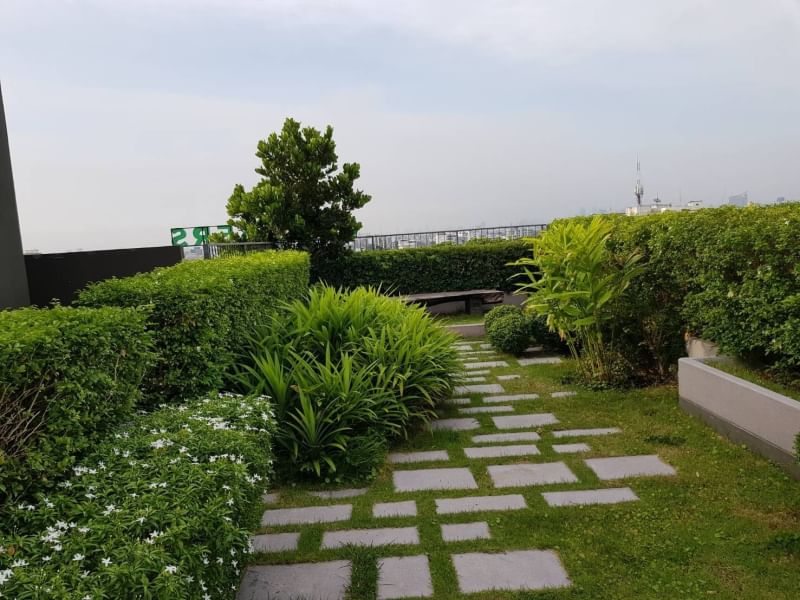 Chambers Chaan (แชมเบอร์ส ชาน ลาดพร้าว-วังหิน)